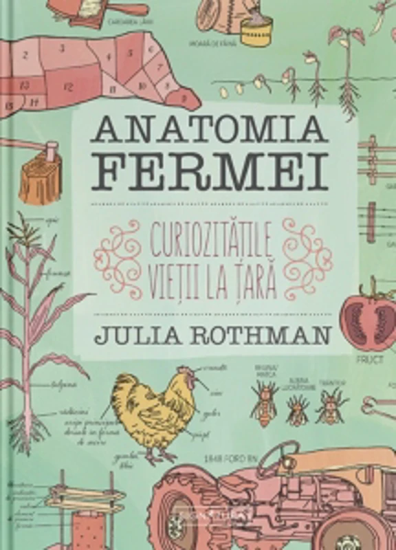 Anatomia fermei