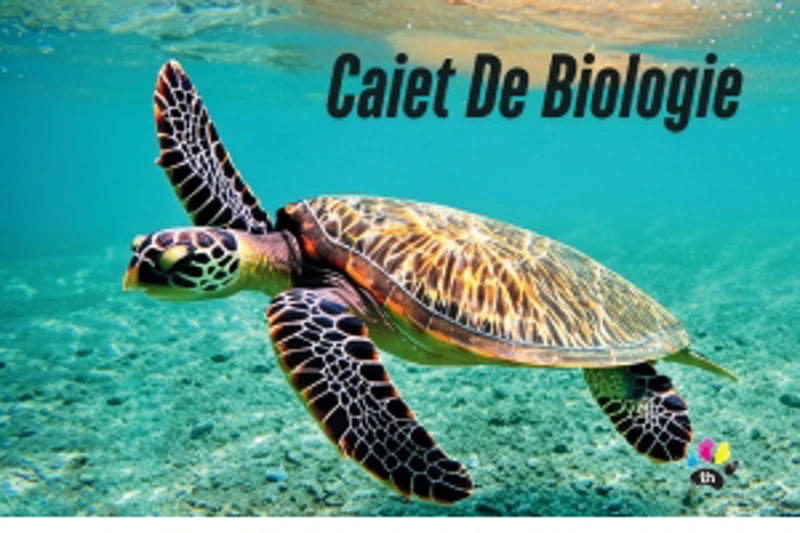 Caiet de biologie, 24 file, coperta policromie
