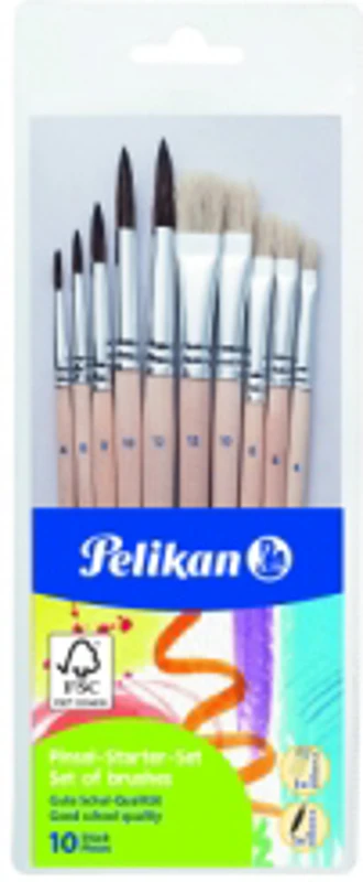 Set 10 pensule Starter, dimensiunea 4, 6, 8, 10, 12, blister