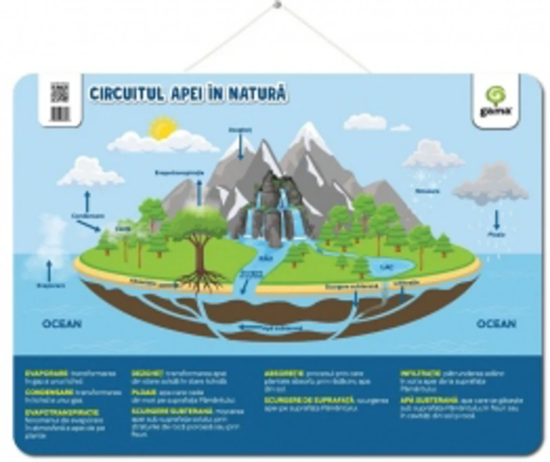 Circuitul apei in natura. Postere educative