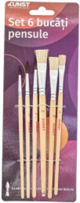 Kunst Set 6 Buc Pensule