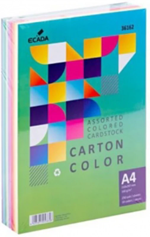 Carton colorat asortat 250 coli 10 culori
