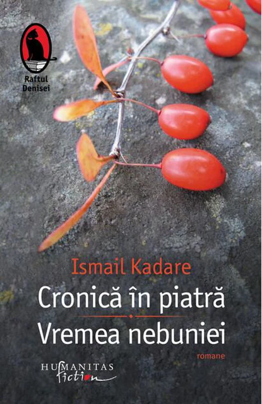 Cronică în piatră. Vremea nebuniei