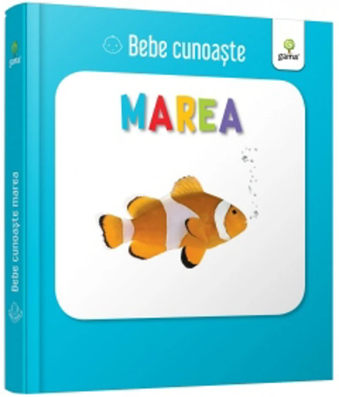 Bebe cunoaste: Marea