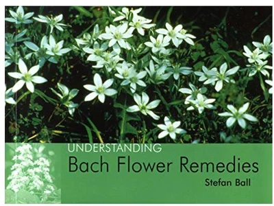 Understanding Bach Flower Remedies