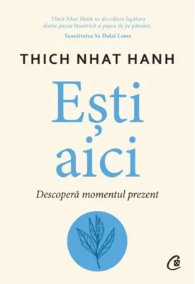 Ești aici