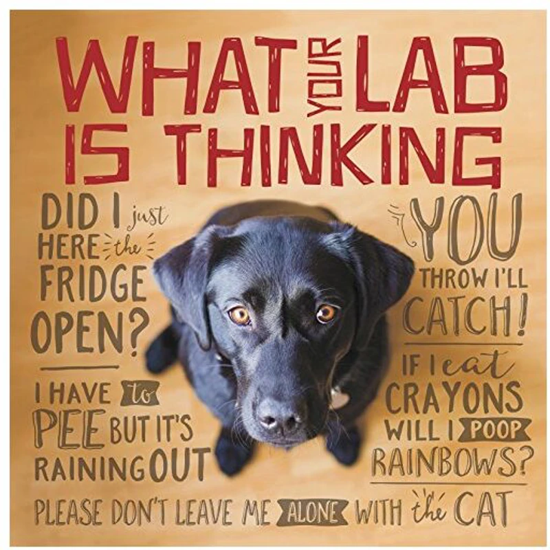 What Your Lab is Thinking