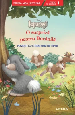 O surpriză pentru Bocănilă