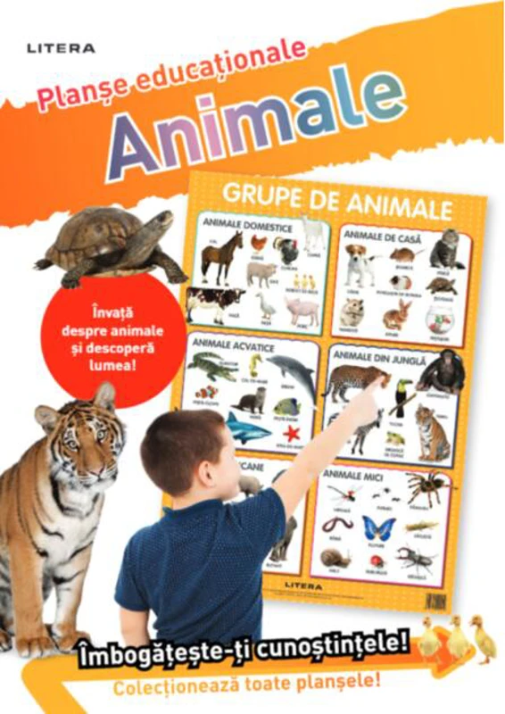 Animale. Planșe educaționale