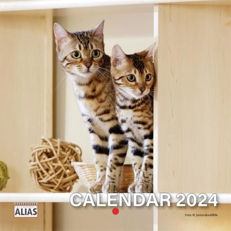 Minicalendar capsat cu Pisici 2024, 24+4 file