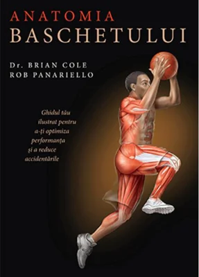 Anatomia baschetului