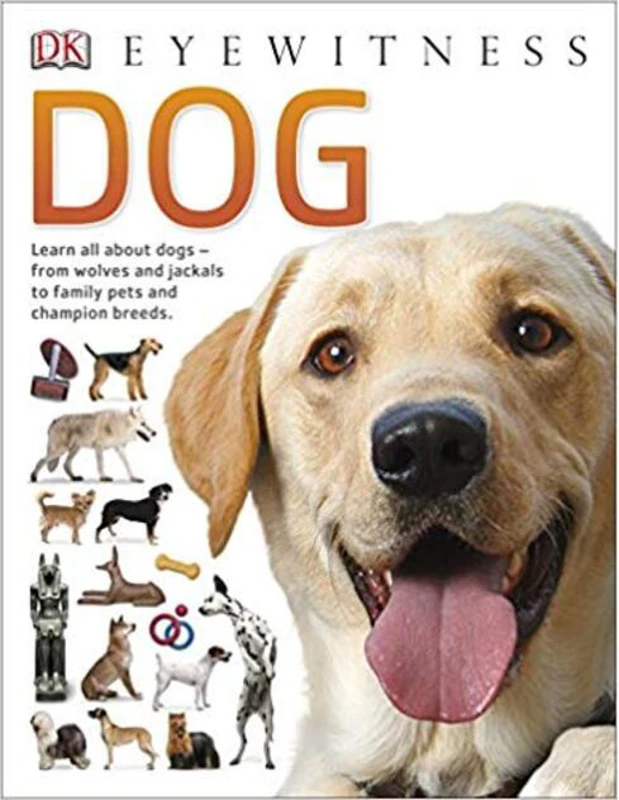 Dog (Eyewitness)
