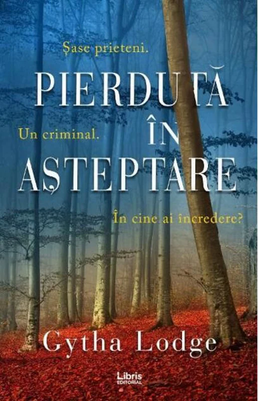 Pierdută în așteptare