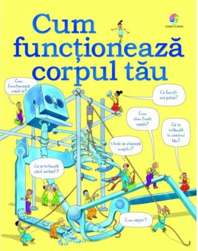 Cum funcționează corpul tău