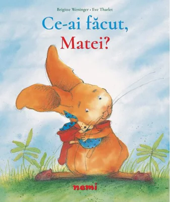 Ce ai făcut, Matei?