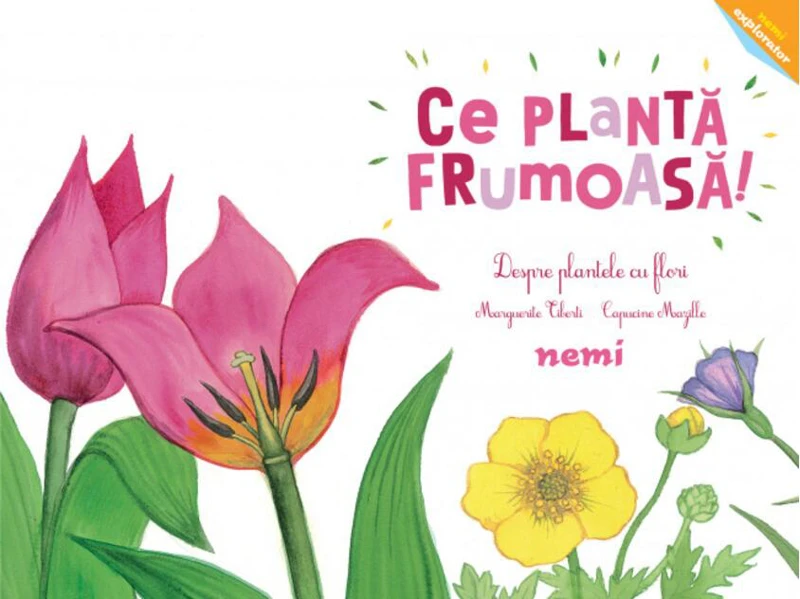 Ce plantă frumoasă!
