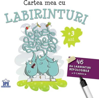 Cartea mea cu labirinturi