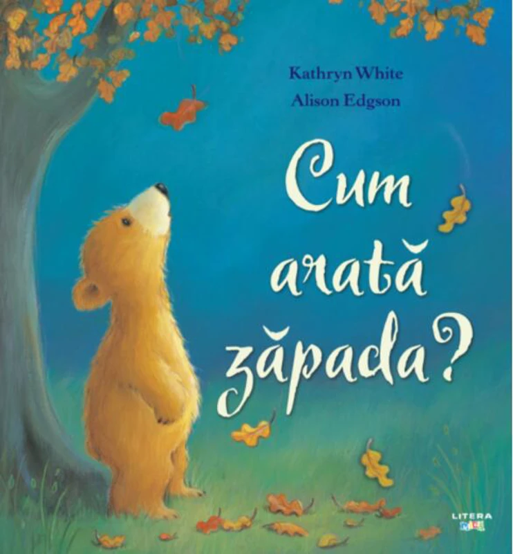 Cum arată zăpada?
