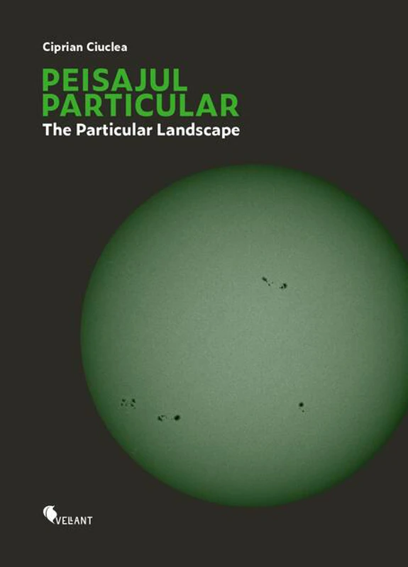 Peisajul particular / The Particular Landscape