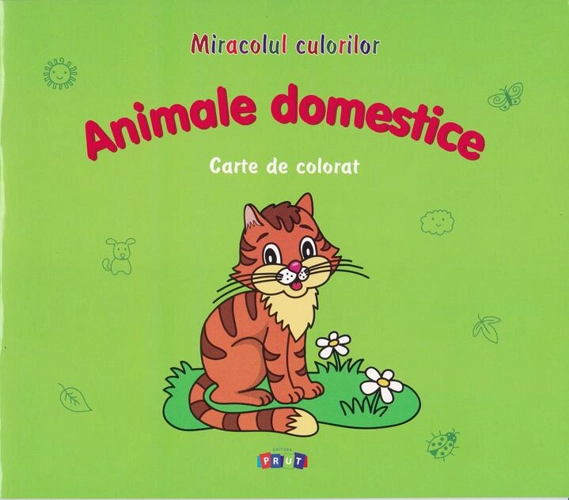 Animale domestice. Carte de colorat