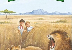 Cu leii în savană (Vol. 11)