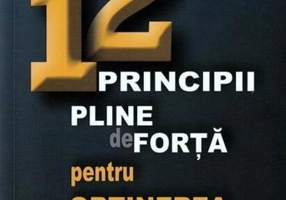 12 principii pline de forță pentru obținerea succesului