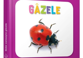 Gâzele. Bebe cunoaște