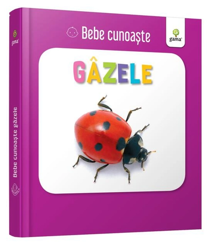Gâzele. Bebe cunoaște