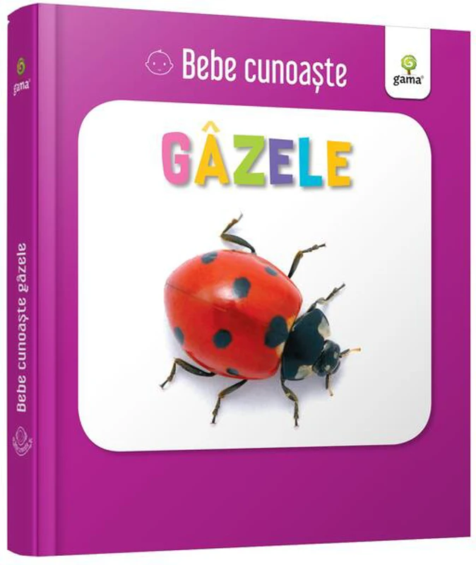Gâzele. Bebe cunoaște