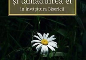 Deprimarea şi tămăduirea ei în învăţătura bisericii