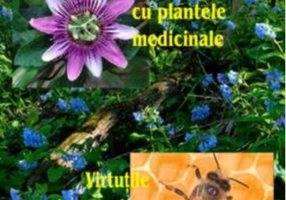 Bărbatul sănătos cu plantele medicinale