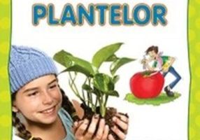 Află totul despre Regatul plantelor