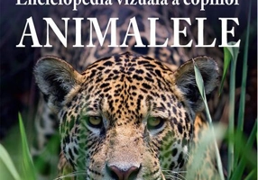 Enciclopedia vizuală a copiilor - Animalele