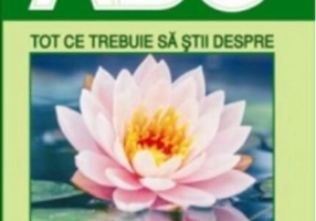 Tot ce trebuie să știi despre plante