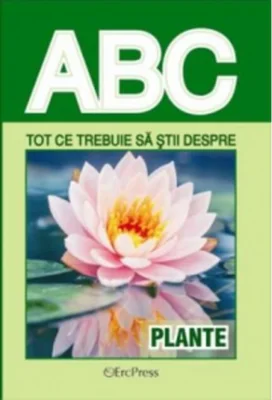 Tot ce trebuie să știi despre plante
