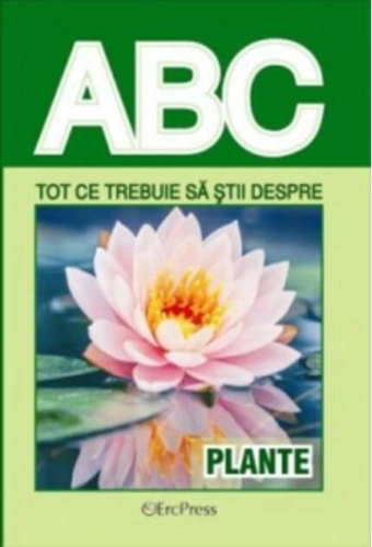 Tot ce trebuie să știi despre plante