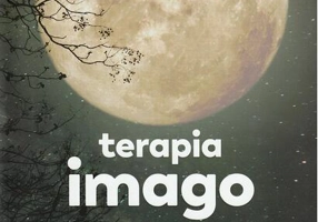 Terapia imago