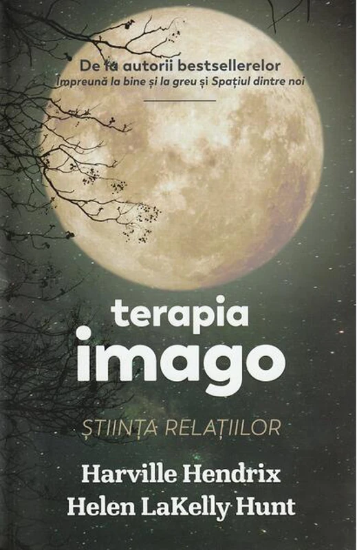 Terapia imago