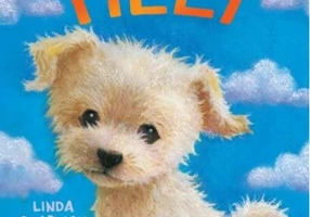 O casă nouă pentru Tilly