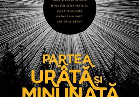 Partea urâtă și minunată a lucrurilor