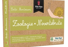 Lecţii de zoologie: Nevertebrate. Lecții Montessori