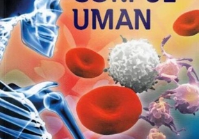 Totul despre corpul uman