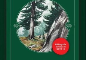 România pitorească