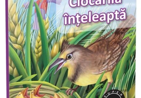 Ciocârlia înțeleaptă