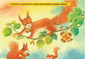 Cum trăiesc veverițele