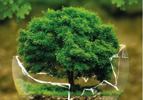 Istoria ca moștenire. Roman familial și traiectorie socială