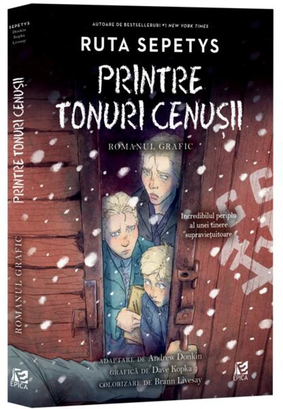 Printre tonuri cenușii