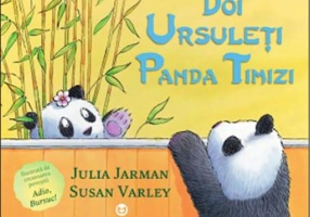 Doi ursuleţi panda timizi