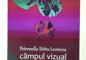 Câmpul vizual