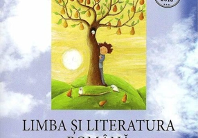 Limba și literatura română. Caietul elevului cls. a VI-a